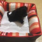 Ruthie Bartholomew - @bartholomewruthie - Instagram