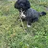 ruthiebartholomew6 - @ruthiebartholomew6 - TikTok