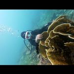 Ruth Basco - @ruth.basco.73 - Instagram