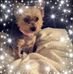 Ruth Bates - Facebook