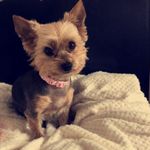 Ruth Bates - @ruth.bates.31105 - Instagram
