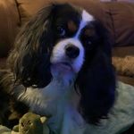 Ruth Bates - @ruthbates2572 - Instagram