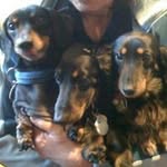 Ruth Bayles - @ruthbertalf - Instagram
