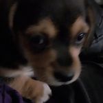 Cynthia Ruth Beasley - @beasleyccindy59 - Instagram