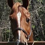 Ruth Beckwith - @ruth.beckwith.98 - Instagram