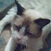 Ruth Beckwith - Facebook