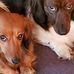 Ruth Beckwith - Facebook