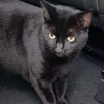 Ruth Bentley - @ruth.bentley.73 - Instagram