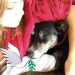 Ruth Bentley - @ruthabo2016 - Instagram