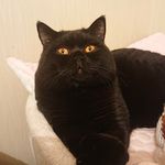 Ruth Bentley Thoburn - @ruthbentleythoburn - Instagram