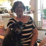 Ruth Berger Malkin - @mahjlover - Instagram