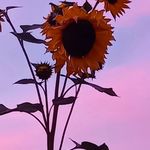 Ruth Biddlecombe - @biddlecomberuth - Instagram