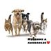Ruth Blanco - Facebook