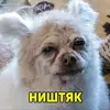 Ruth Block - @ruthblock_1267 - TikTok