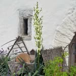 Blumenatelier Ruth Räss - @blumenatelier_ruth_raess - Instagram