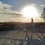 Ruth Blum - @ruthblum72 - Instagram