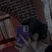 Ruth Bolaños - Facebook