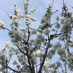 Ruth Bollinger - @bollinger.ruth - Instagram