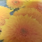 Ruth Bonner - Facebook