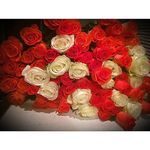 Ruth Bower - @ruthbower421 - Instagram