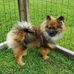 Ruth Boykin - Facebook