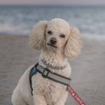 Ruth Boyle Brunn - @haileysgma - Instagram