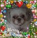 Ruth Brainard - Facebook