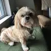 ruthbraun - @ruthbraun - TikTok