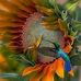 Ruth Breeding - Facebook