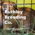 Ruthley Breeding Co - @ruthley.breeding.co - Instagram