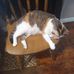 Ruth Brickey - Facebook