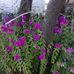 Ruth Brickey - Facebook