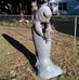 Ruth Brickey - Facebook