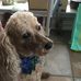 Ruth Brinson - Facebook