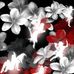 Ruth Brooks - Facebook