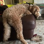 Ruthie Broughton - @fuzzy.pantaloons - Instagram