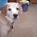 Ruth Brubaker - Facebook