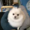 Ruth Bruning - @ruthbruning_7481 - TikTok