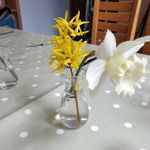 Ruth Buckingham - @ruthyb2021 - Instagram