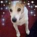 Ruth Buckley - Facebook