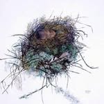 Ruth Burden - @ruth.burden - Instagram