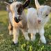 RuthAnn Burkhalter - Facebook