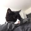 ruthburrows79 - @ruthburrows79 - TikTok