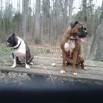 Ruth Burson Eisenhuth - @rutheisenhuth - Instagram