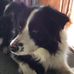 Ruth Burt - Facebook