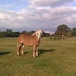 Ruth Burton - @ruth.burton.1257 - Instagram