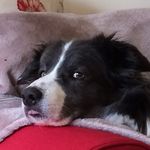 ruth button - @r.button65 - Instagram