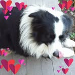 Ruth Cann - Facebook