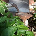 Ruth Caplan - @caplan4489 - Instagram