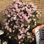 Ruth Carlsen - @ruth.carlsen.3 - Instagram
